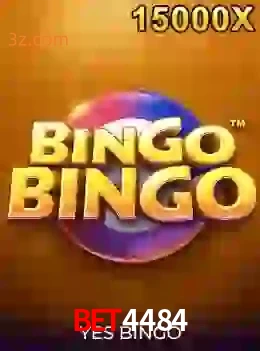 bingobingo