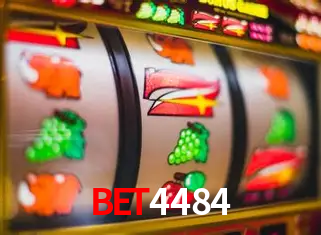 A Experiência Imersiva dos Cassinos Ao Vivo no bet4484